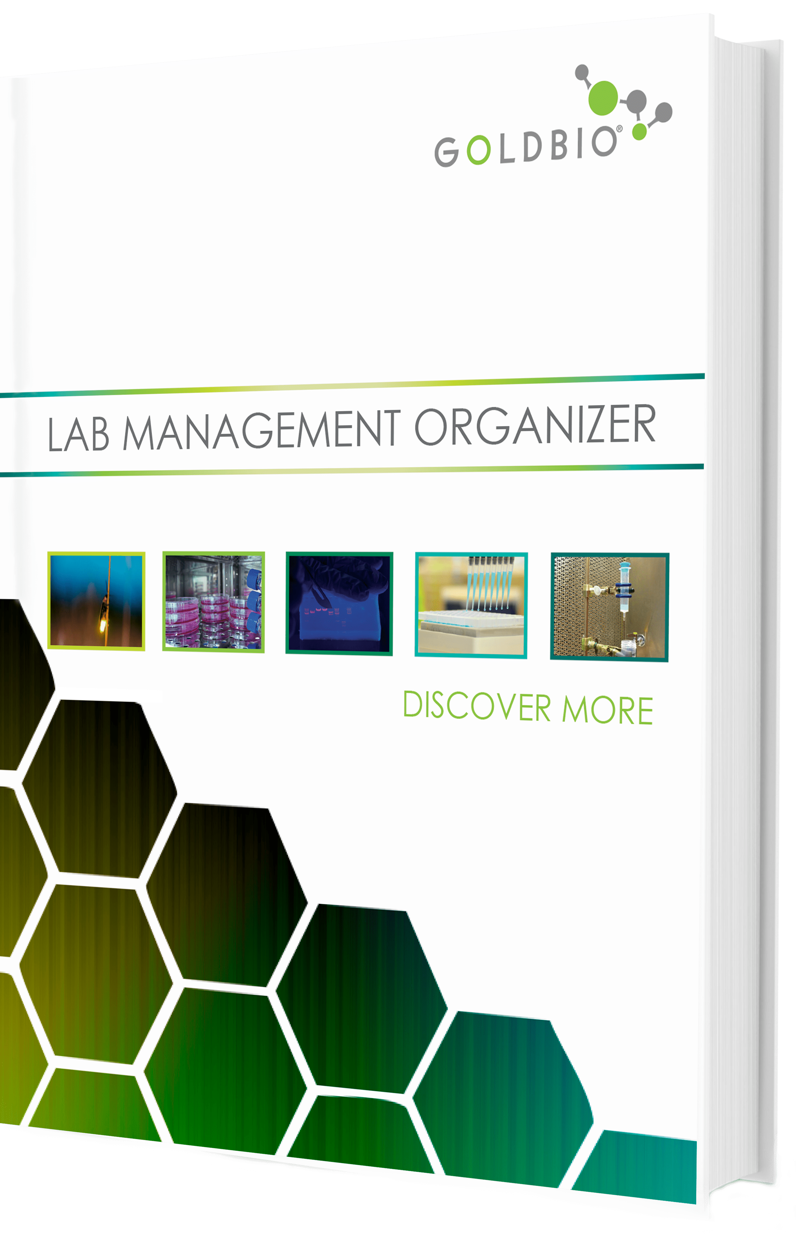 Lab Manager Resources Articles Goldbio - Geometric Illustration Collection - HD Quality